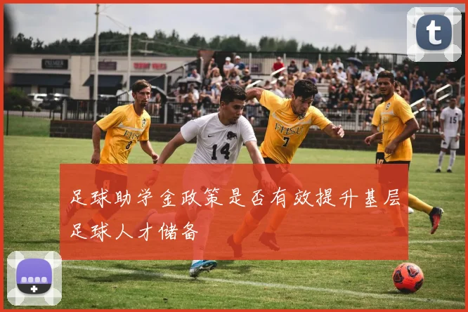 足球助学金政策是否有效提升基层足球人才储备