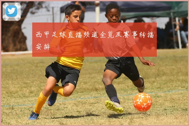 西甲足球直播频道全览及赛事转播安排