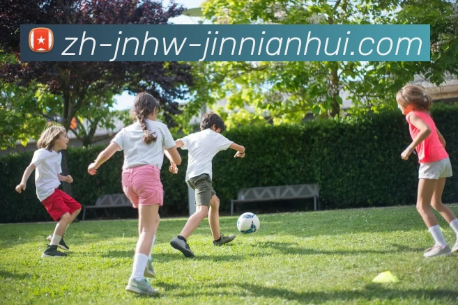 App Interface Preview