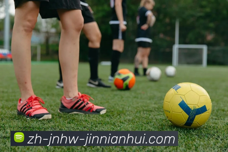 金年会体育APP 封面图